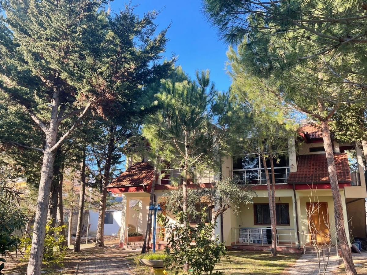 Hotel Garden Villa Ardo Golem  Bagian luar foto